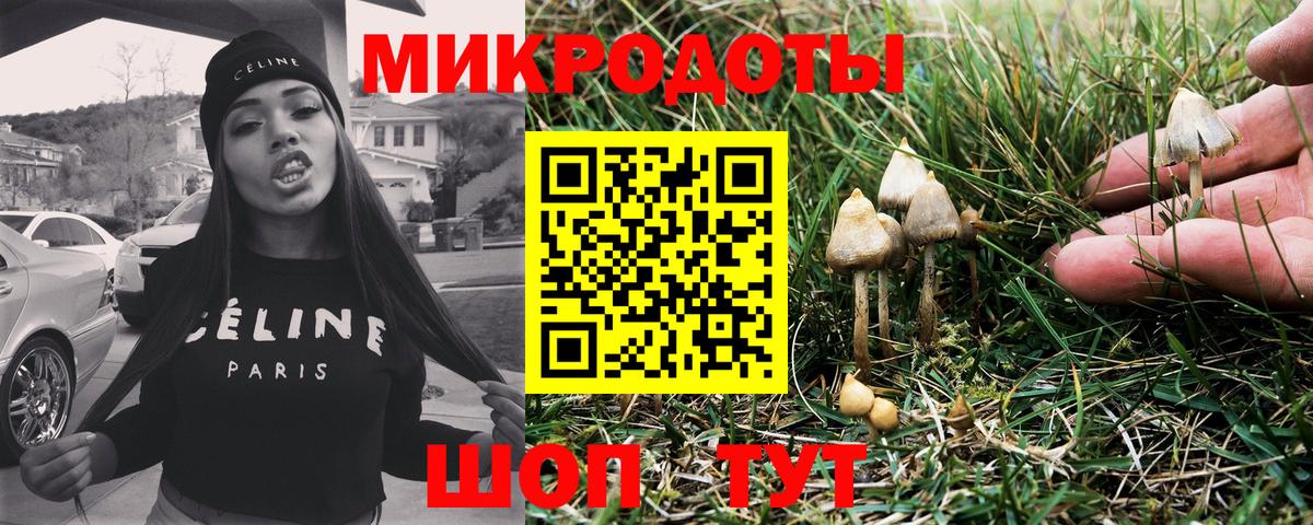 Качканар  Галлюциногенные грибы MAGIC MUSHROOMS  Вход с VPN  Галлюциногенные грибы Psilocybe 